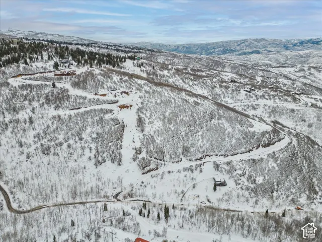Aerial perspective of expansive mountain terrain featuring dense coniferous forests, snow-covered slopes, winding access roads, and undulating topography