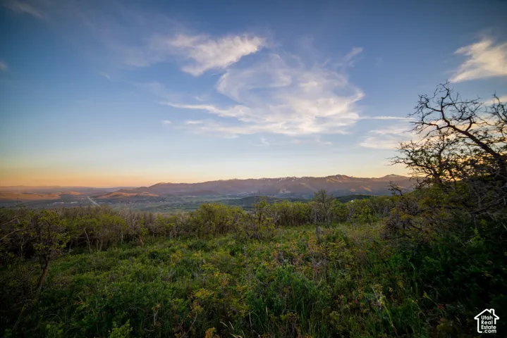 Expansive natural landscape featuring mature native vegetation, rolling terrain, and prominent mountain backdrops