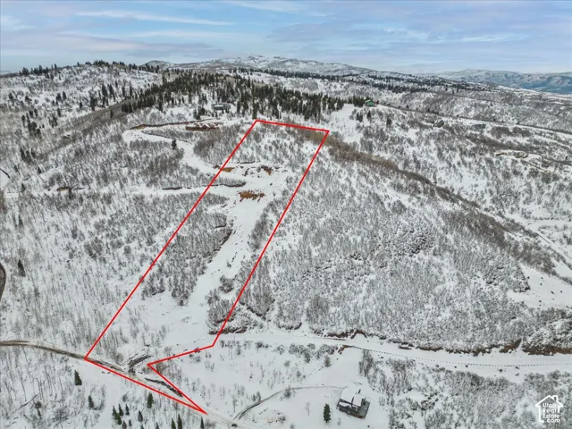 Expansive sloped parcel featuring mountain terrain, mature timber, and mountain range backdrop
