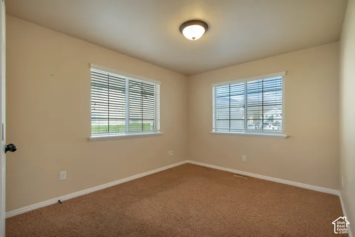 Neutral-toned interior room featuring wall-to-wall carpeting, dual windows with horizontal blinds, and a central flush-mount ceiling light fixture