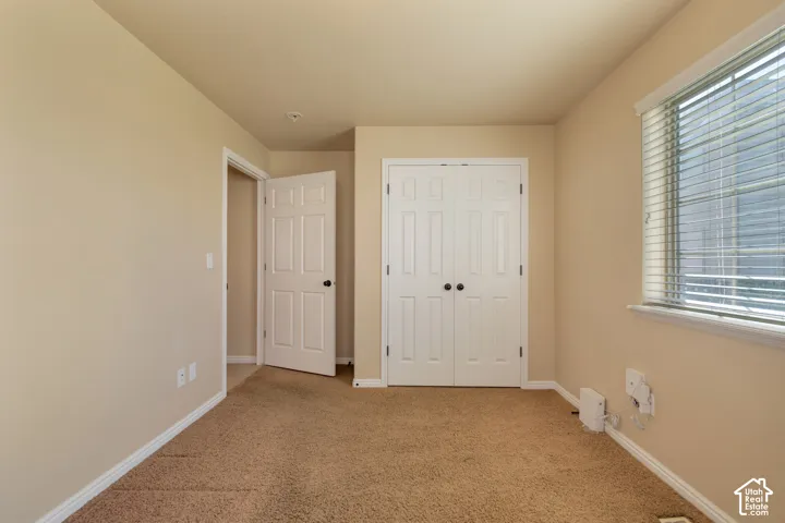 Interior room featuring neutral-toned carpeting, dual-pane window with horizontal blinds, six-panel interior doors, and closet with double doors