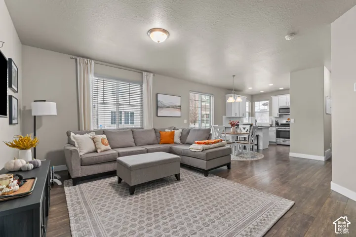 Open-concept floor plan featuring wood-finish flooring, recessed lighting, and kitchen cabinetry with stainless steel appliances