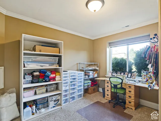 Interior space featuring wall-to-wall carpeting, crown molding, and a large window with natural light