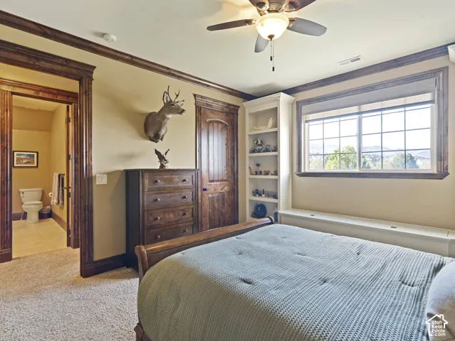 Stained wood trim, built-in floor-to-ceiling shelving, solid wood door, multi-pane window, and carpeted flooring