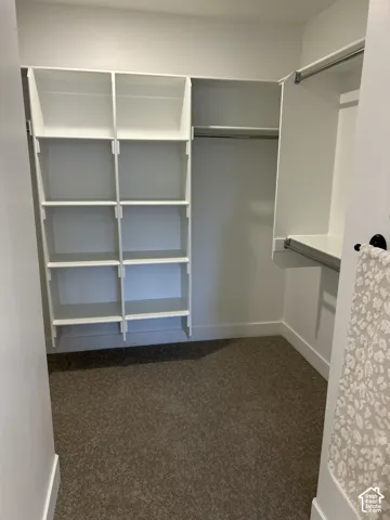 Walk-in closet featuring white built-in shelving units, integrated hanging rods, and neutral carpeting