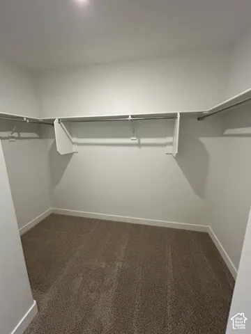 Walk-in closet featuring neutral carpeting and integrated wrap-around shelving with metal hanging rods