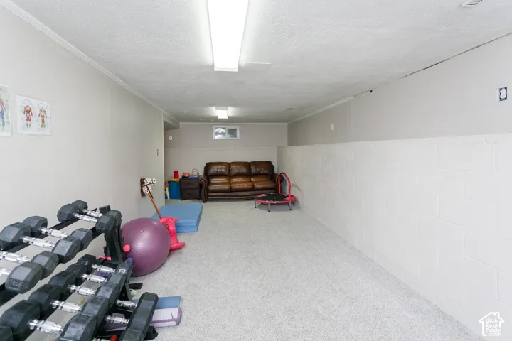 Finished lower level featuring neutral carpeting, painted concrete block walls, and linear overhead lighting