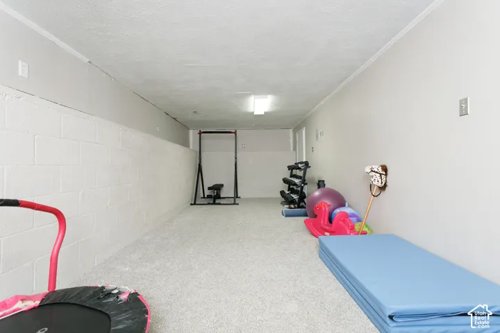 Finished room featuring painted masonry walls, neutral carpeting, and a flush-mount overhead lighting fixture