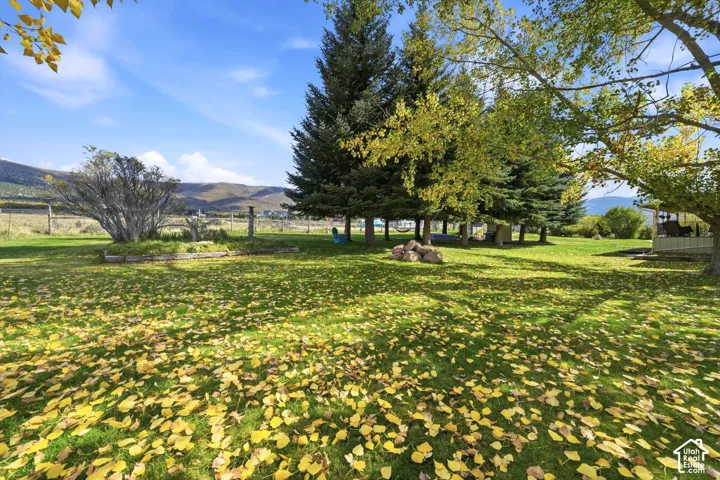 Expansive lawn featuring mature evergreen trees, raised garden beds, mountain backdrop, and perimeter fencing