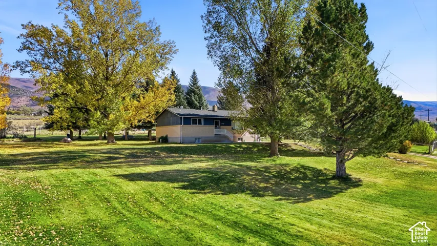 Single-story residence featuring light-colored masonry and dark-toned siding, situated on an expansive lot with mature deciduous and evergreen trees and a mountain backdrop