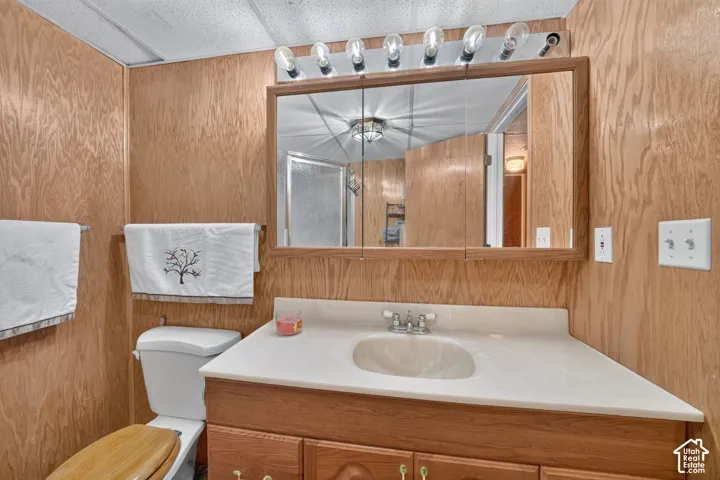 Bathroom featuring wood-finish paneling, vanity with integrated basin, mirrored medicine cabinet, and multi-bulb wall-mounted lighting