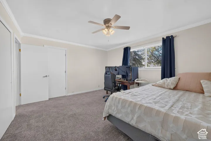 Neutral-toned interior featuring wall-to-wall carpeting, crown molding, a ceiling fan with integrated lighting, and multiple interior doors