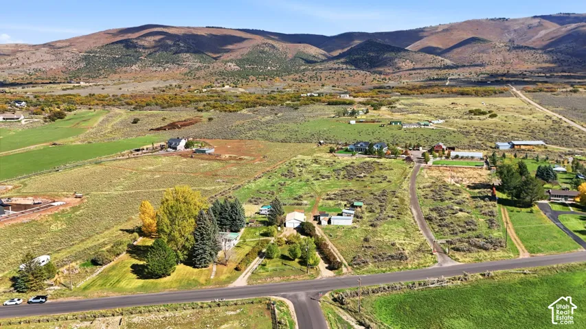 Expansive parcel featuring mature trees, a paved access road, and mountainous scenery