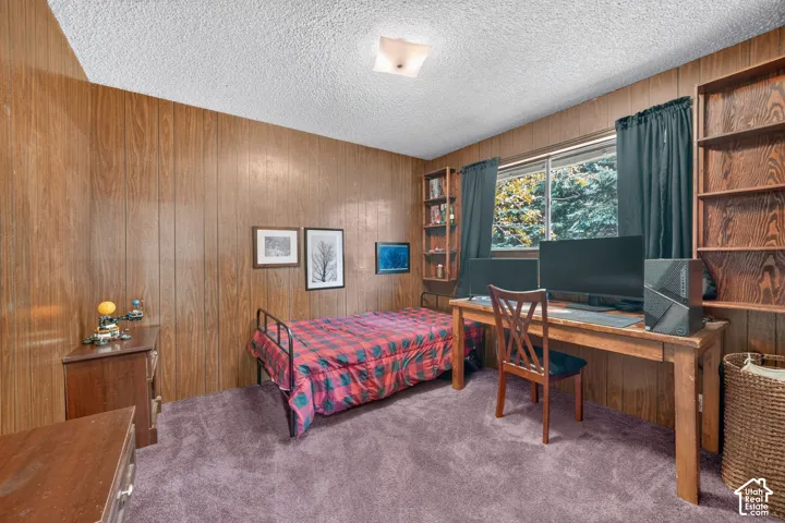 Wood-paneled walls, built-in shelving units, carpeting, and flush-mount ceiling lighting