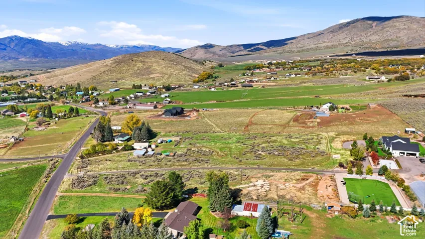 Aerial perspective featuring expansive acreage, mature evergreen trees, and a mountain backdrop