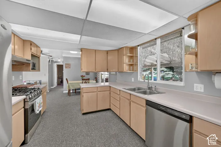 Kitchen featuring light-finish wood cabinetry, solid-surface countertops, stainless steel gas range, stainless steel dishwasher, and a dual-basin stainless steel sink