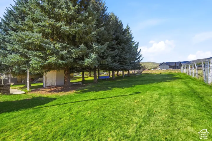 Expansive lawn area featuring mature evergreen trees and perimeter chain-link fencing