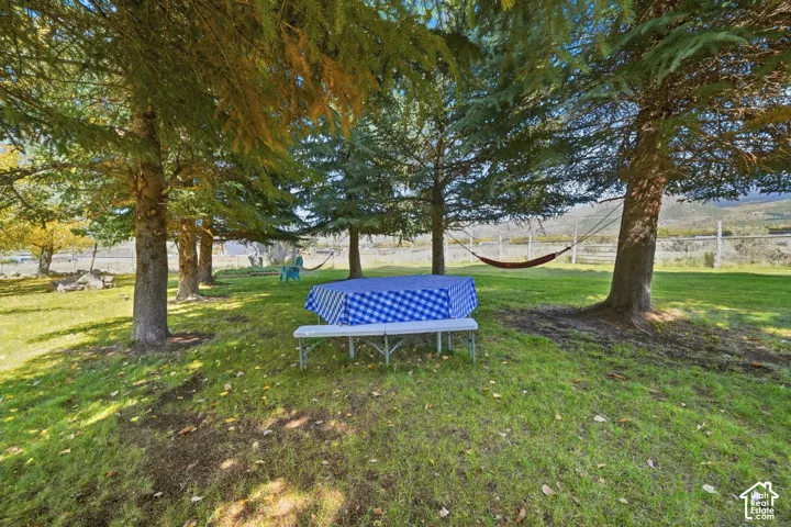 Expansive backyard featuring mature evergreen trees and mountain terrain