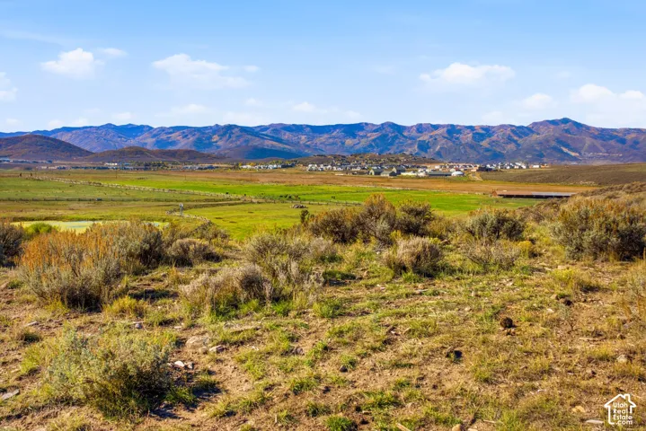Expansive open terrain featuring native scrub vegetation, rolling topography, and prominent mountain range backdrop