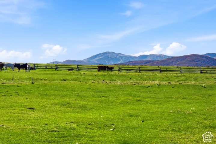 Expansive pastureland featuring a split-rail wood fence and mountainous backdrop