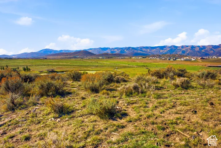 Expansive open landscape featuring native shrubs, grasses, and prominent mountain range backdrop