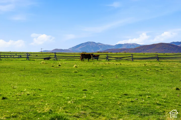 Expansive pasture land featuring split-rail wood fencing and a mountainous horizon