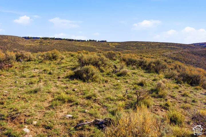 Expansive lot featuring native terrain, rolling topography, and indigenous vegetation