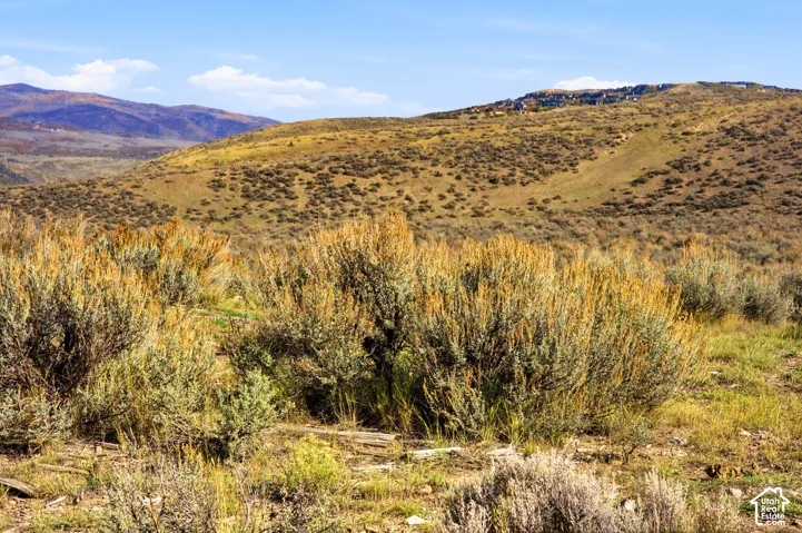 Expansive land parcel featuring native desert flora, rolling terrain, and prominent mountain topography