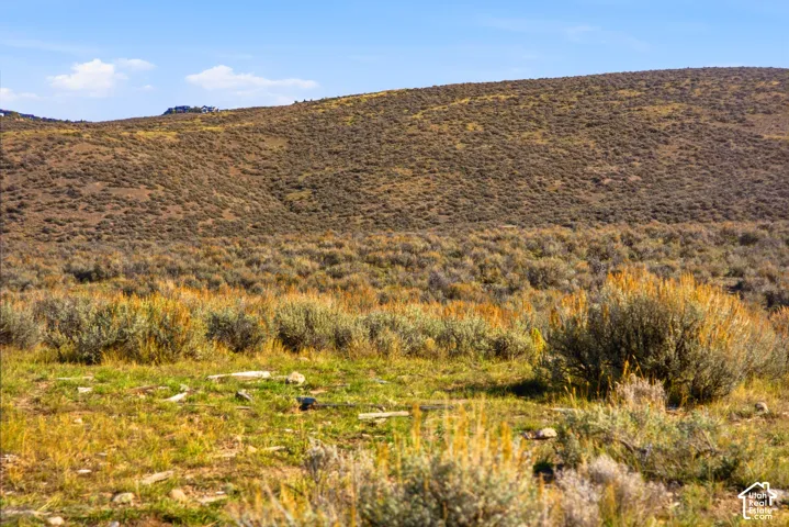 Expansive desert acreage featuring native sagebrush and grasses with a prominent mountainous backdrop