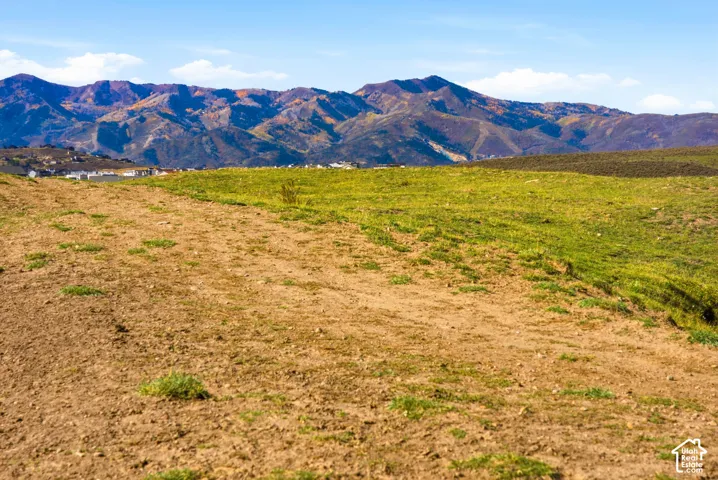 Expansive acreage featuring natural terrain and prominent mountain range backdrop