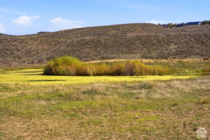 Expansive acreage featuring natural landscape, meadow vegetation, mature shrubs, and rolling hillside terrain