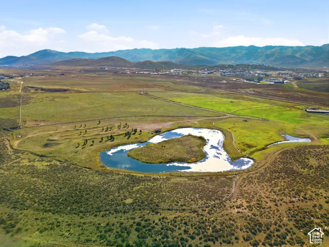 Expansive acreage featuring a natural pond, native vegetation, and a mountain backdrop