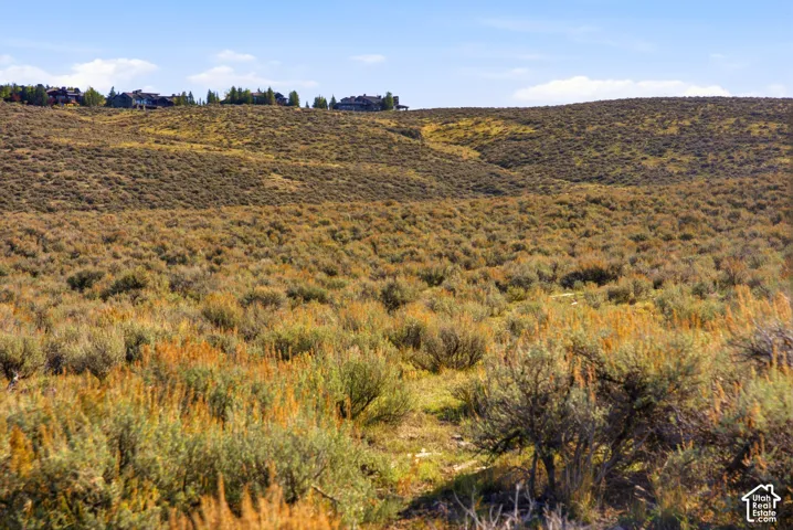 Expansive natural landscape featuring rolling terrain, native shrubbery, and high-altitude topography