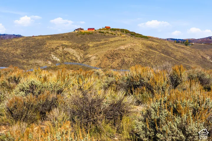 Expansive landscape featuring rolling topography, indigenous shrubbery, and elevated placement