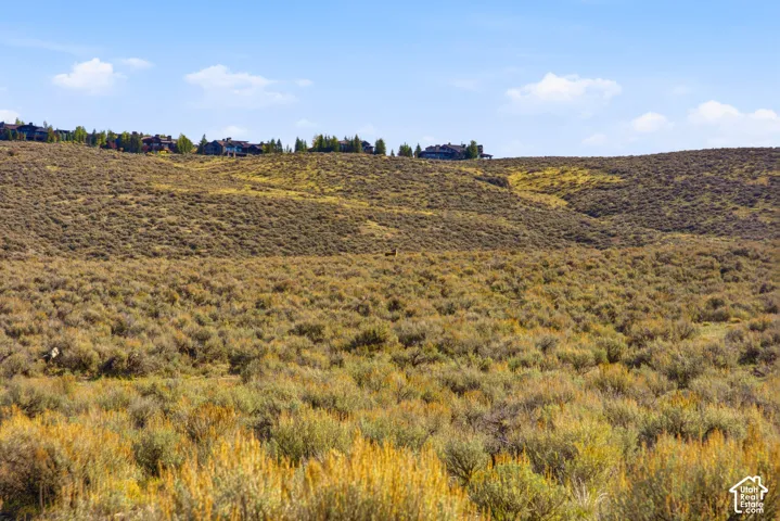 Expansive natural landscape featuring rolling terrain, sagebrush, and native grasses under an open sky