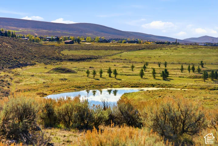 Expansive landscape featuring a private pond, rolling terrain, mature evergreen trees, and a mountainous backdrop