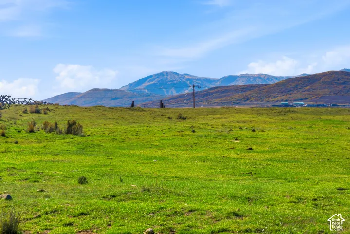 Open landscape featuring rolling green terrain, natural vegetation, and a mountainous backdrop