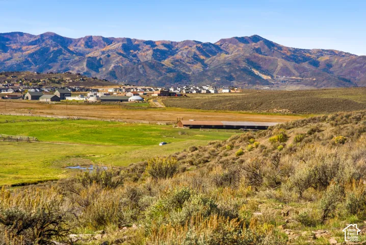 Expansive landscape featuring rolling terrain, natural shrubbery, a grassy meadow, and prominent mountain backdrops