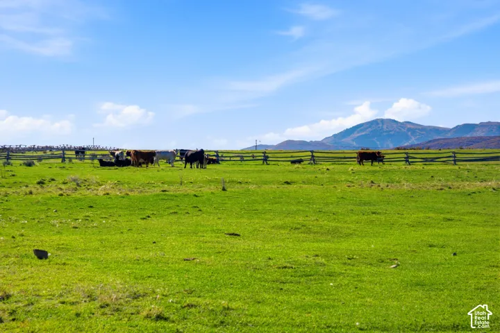 Expansive pasture land featuring green terrain, split-rail fencing, and mountainous topography