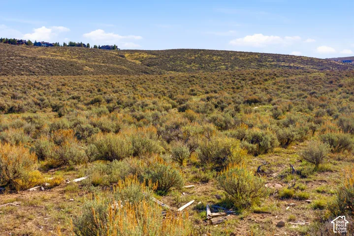 Expansive natural landscape featuring native sagebrush and sloping topography
