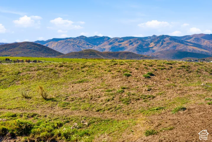 Expansive acreage featuring natural topography and mountain range backdrop