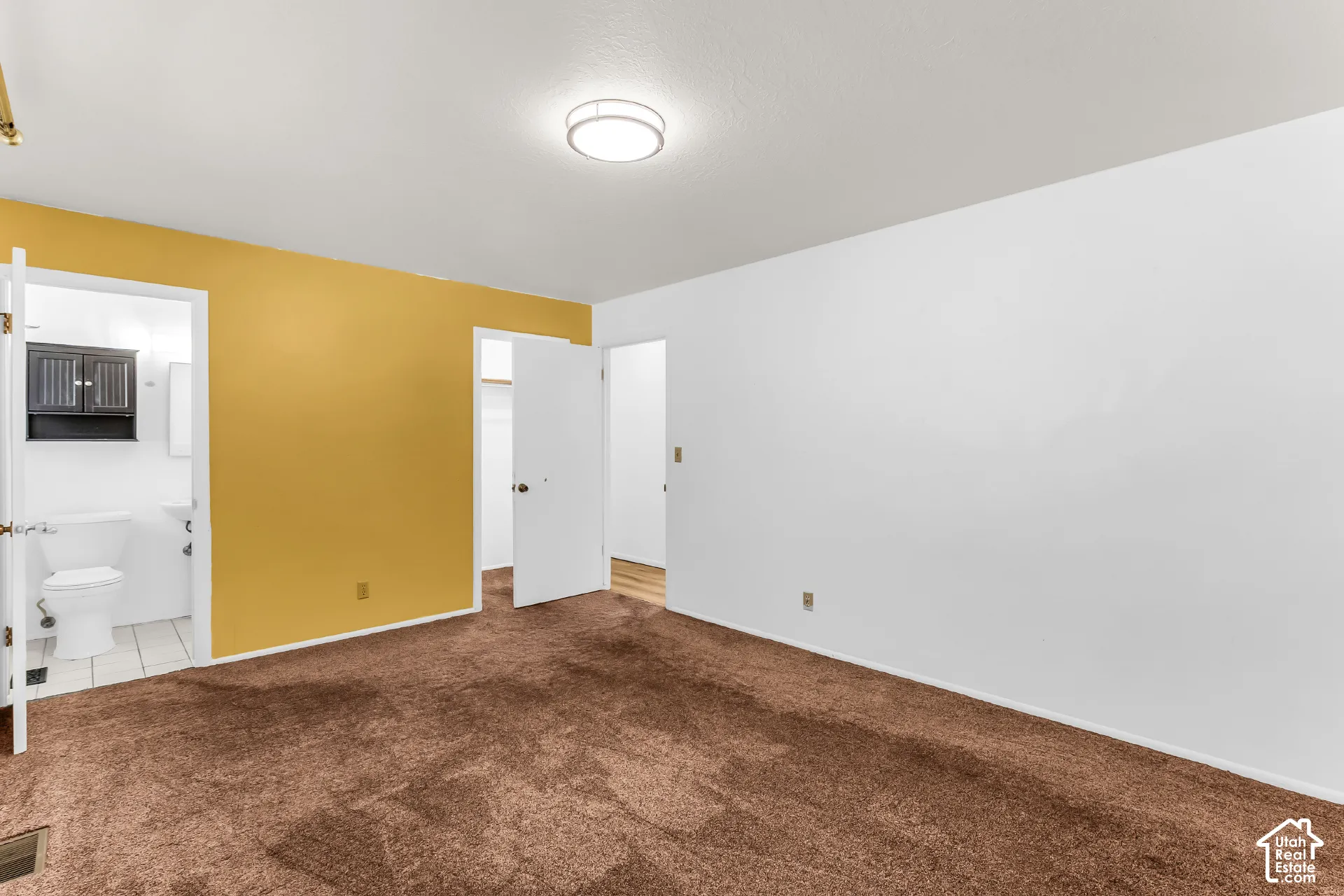 Room featuring carpeted flooring, flush-mount lighting, and dual door access to a storage closet and bathroom