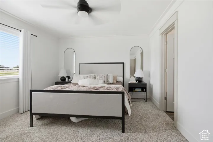 Primary Room