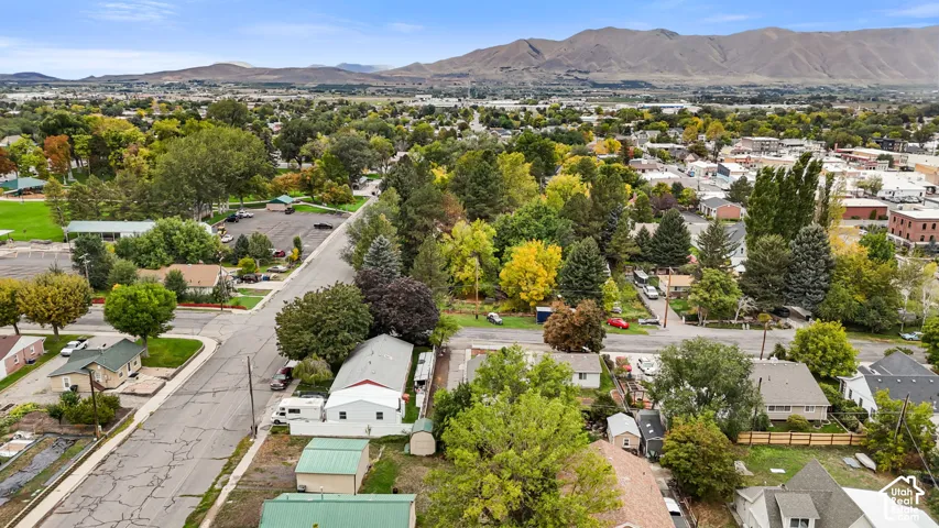 Aerial perspective featuring established tree canopy, mountain backdrop, and surrounding grid-patterned urban infrastructure