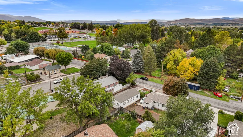 Aerial perspective featuring mature tree canopy, mountain backdrop, and suburban landscape