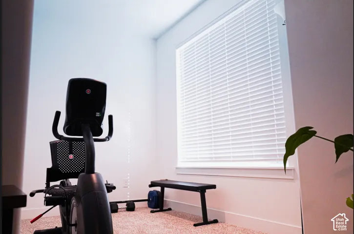 Neutral interior space featuring carpeting and a large window with white horizontal blinds