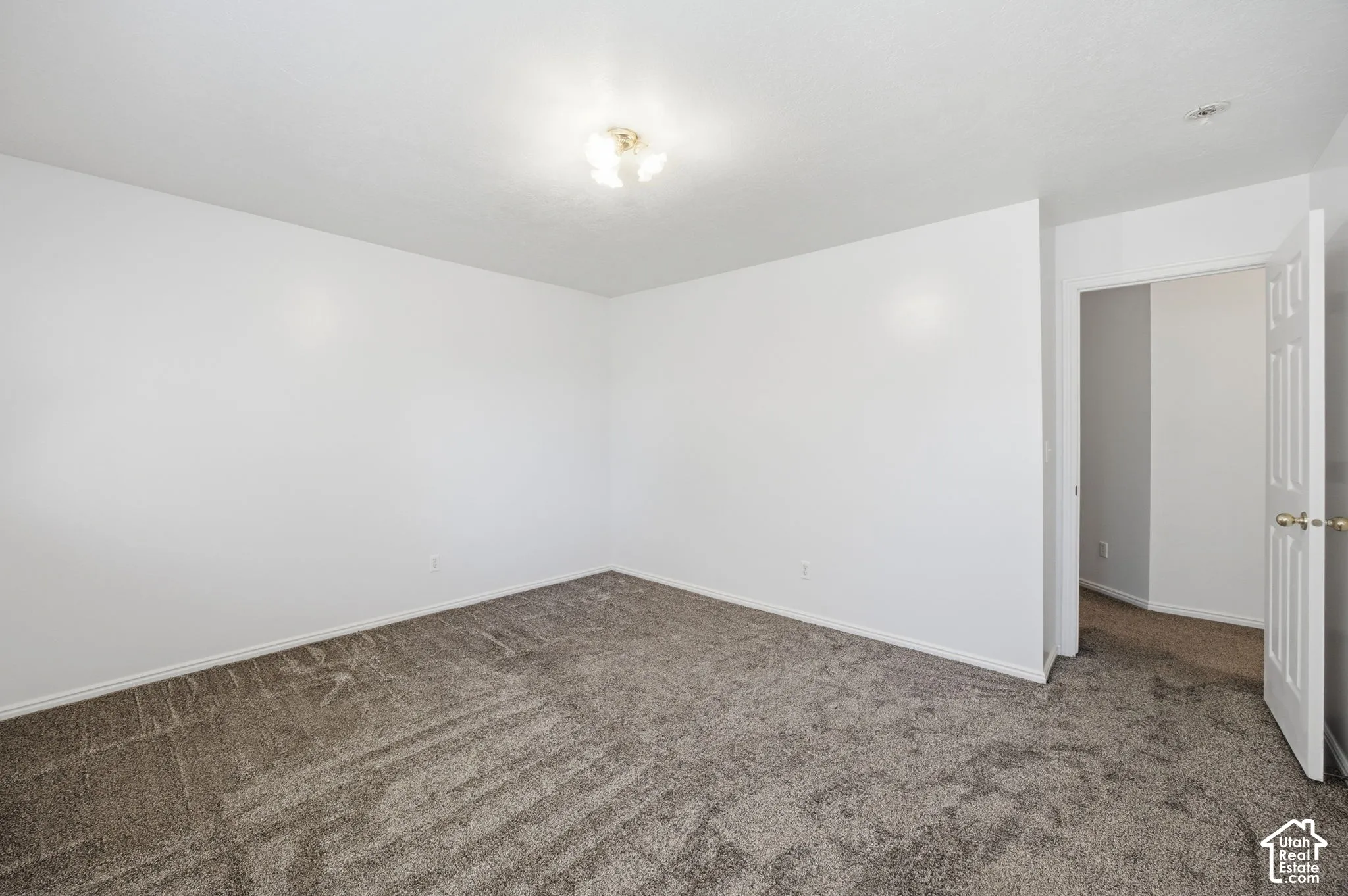 Neutral wall paint, textured carpeting, multi-bulb ceiling fixture, and a six-panel interior door