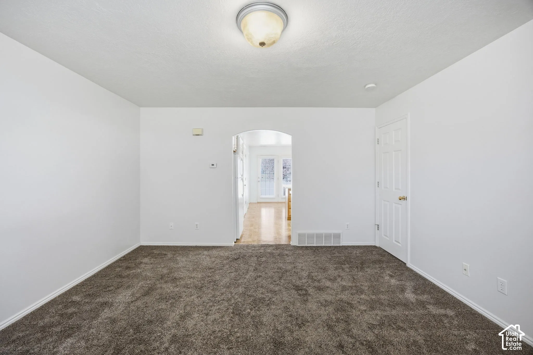Interior space featuring neutral-toned carpeting, a dome-style ceiling light fixture, a six-panel door, and a rounded arched entryway
