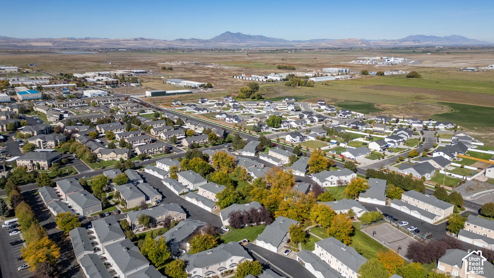 Aerial perspective of a multi-unit residential community featuring paved street infrastructure, mature deciduous trees, and distant mountain range scenery