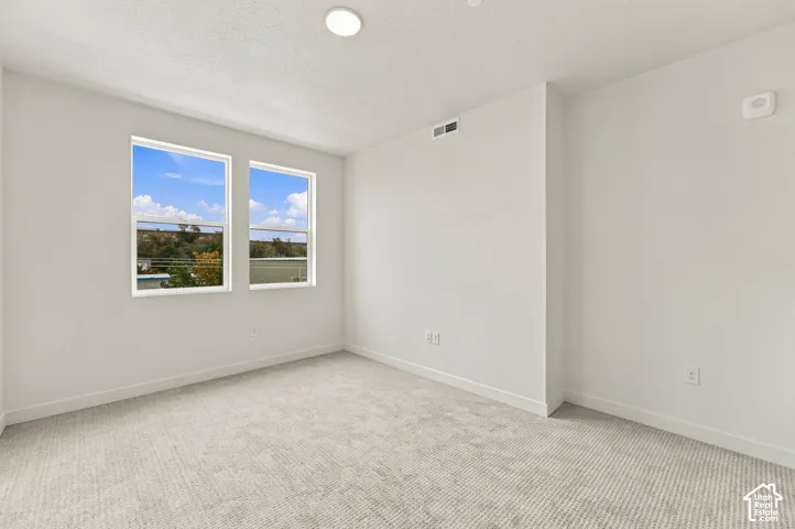 Neutral interior featuring wall-to-wall carpeting, dual windows, and a flush-mount ceiling light fixture